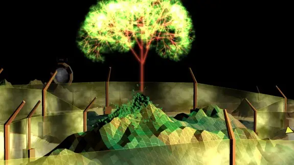 darwinia tree