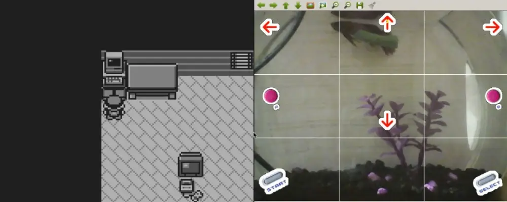 Fish Plays Pokémon – Absurdität im Fischglas