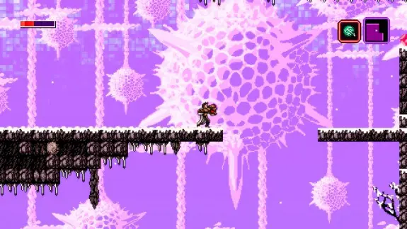 blaxiom verge pink crystal